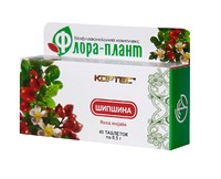 Флора-плант Шиповник