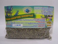 Трава Живучки ползучей