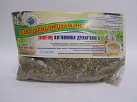 Трава Котовника душистый (шандры)