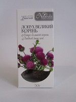 Лопух большой