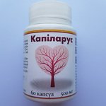 Капиларус kapilarus