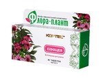 Флора-плант Эхинацея