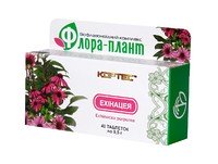 Флора-плант Эхинацея