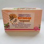 Бузина черная