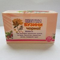 Бузина черная