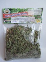 Листья и побеги черники