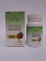  Софора японская Даника 90 т
