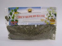 Листья Берёзы белой